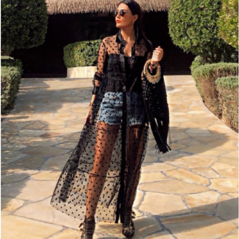 COPY - Zara sheer polka dot tulle dress